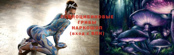 прущие крисы Абаза