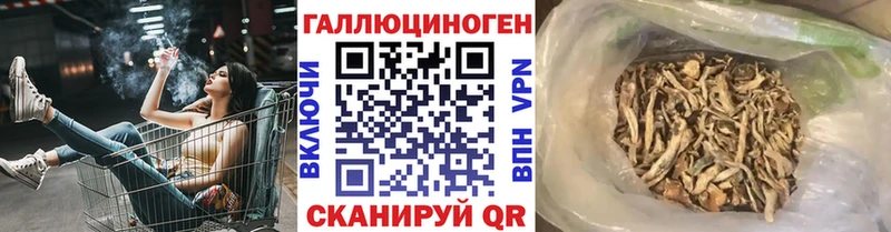 Галлюциногенные грибы прущие грибы  Новоуральск 